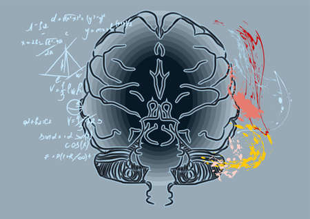 Creative concept of the human brain, vector illustrationのイラスト素材