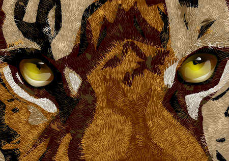 tigers eyes, Eyes of a red tiger close up.のイラスト素材