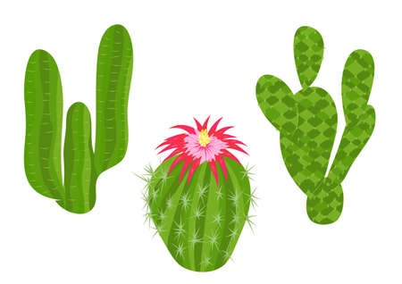 abstract cactuses isolated on white backgroundのイラスト素材