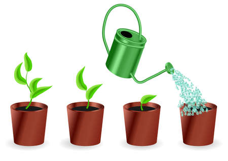 watering pot plant concept isolated on whiteのイラスト素材