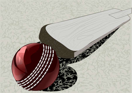 cricet ball and bat on grassのイラスト素材