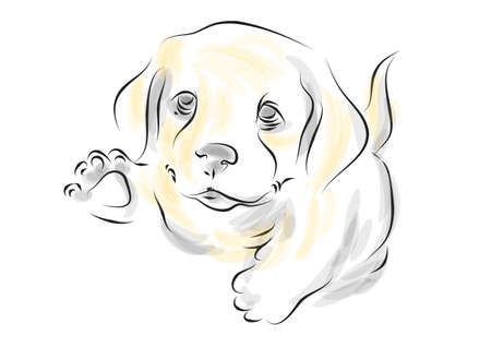 golden retriever puppy vector illustration on white backgroundのイラスト素材