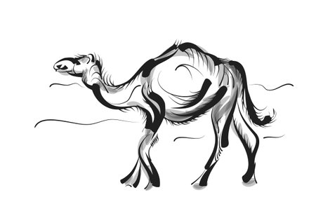 camel vector illustration isolated on white backgroundのイラスト素材
