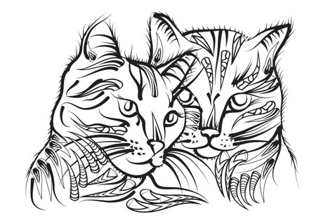 two cats illustration isolated on white backgroundのイラスト素材