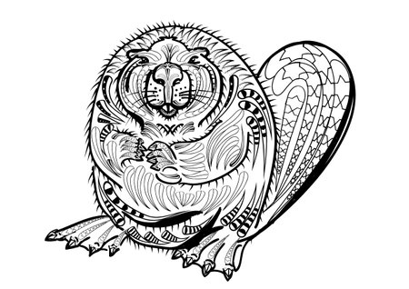 beaver  vector illustration isolated on black backgroundの写真素材