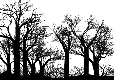 forest vector illustration isolated on white backgroundのイラスト素材
