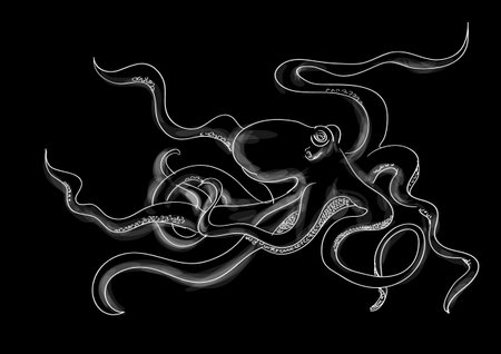 octopus vector illustration isolated on a blsck backgroundのイラスト素材
