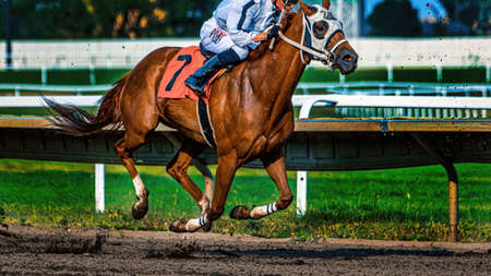 A person riding a horse in front of a fenceの写真素材