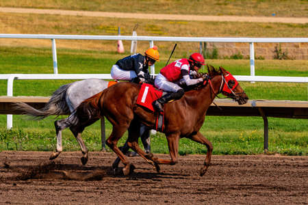 A person riding a horse on a trackの写真素材