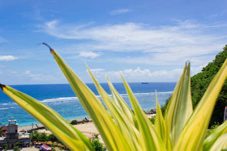 Pantai Pandawa, Bali, Indonesia - December 1, 2018 : The atmosphere of the sea is blue against the foreground of light green leaves that are blurredのeditorial素材