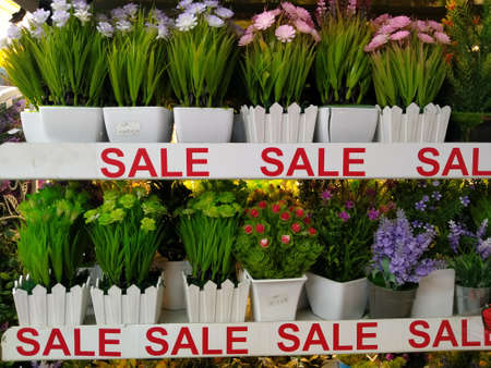 Pasar Pagi Mangga Dua, West Jakarta, Indonesia - September 28, 2020 : Artificial flowers and grass sold in storesのeditorial素材