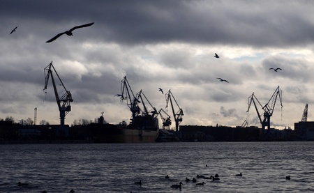 Silhouette of seagulls against a port background at sunset.の写真素材
