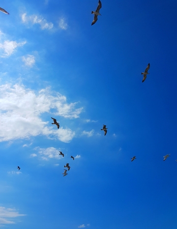 So that creates a servant, himself freely, but they should always be appropriati in the sky upon you.の写真素材