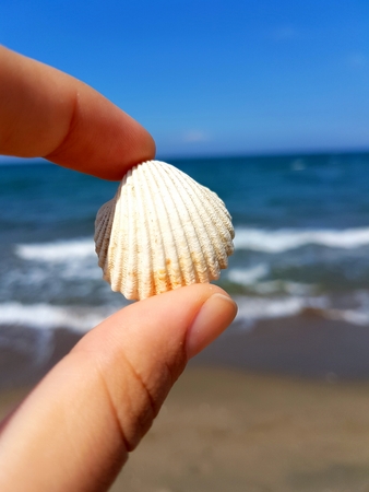 I'm not saying you sail. If I say will open the flood even endureの写真素材