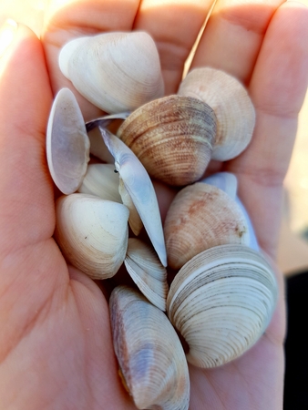 No matter how rich you are, what you can eat until you eat. Although sea testing branch, so can it...