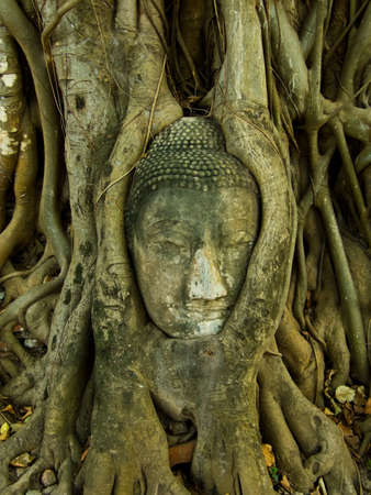 Buddha imageの写真素材