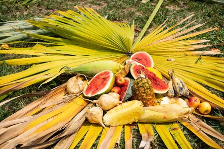 Many fruits for elephants on the leaves and on the table.の写真素材