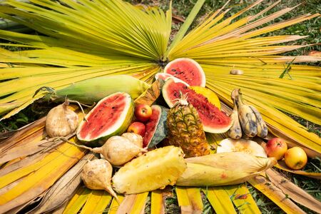 Many fruits for elephants on the leaves and on the table.の写真素材