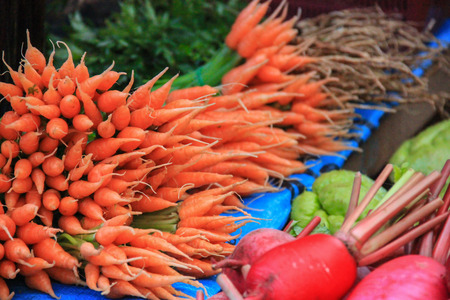 Fresh carrots on hill tribe shops. On Doi Ang Khangの写真素材
