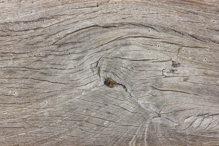 old wood backgroundの写真素材