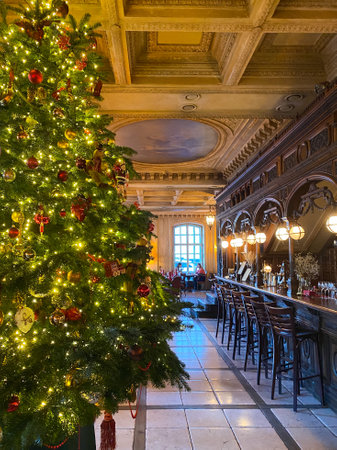 Moscow, Russia - December 10, 2020: Christmas tree in Cafe Pushkinのeditorial素材