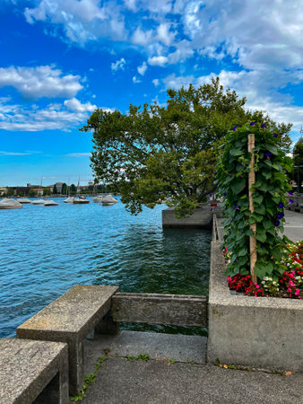 Zurich lake promenade in summer, Zurich Bellevue
