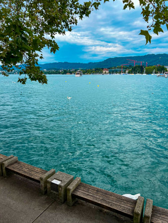 Panoramic view of the Zurich lake and white swans in summer