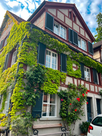 Cozy houses with climbing plants in Bregenz upper townの写真素材