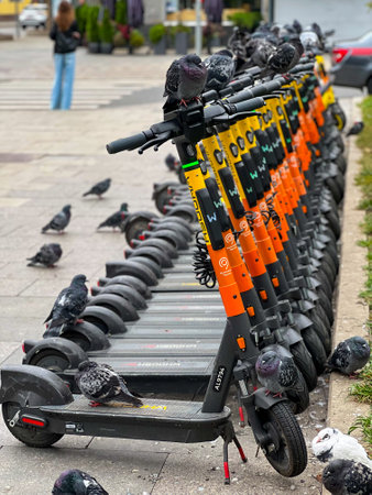 Moscow, Russia - September 10, 2023: Electric scooters parked in the street with birds on themのeditorial素材