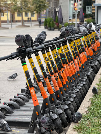 Moscow, Russia - September 10, 2023: Electric scooters parked in the street with birds on them