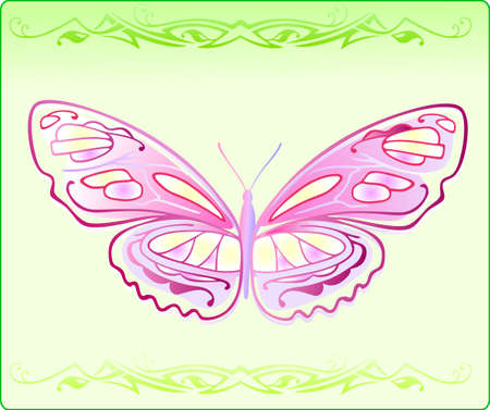 Butterfly のイラスト素材