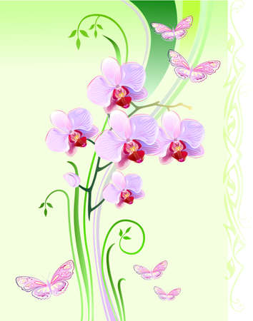 Orchids and butterflies on green background のイラスト素材