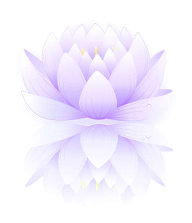 Blue lotus のイラスト素材
