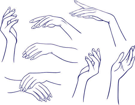 Woman handsのイラスト素材