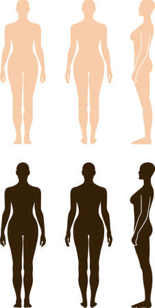  Naked standing woman vector sihouetteのイラスト素材