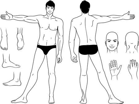 Full length (front & back) views of a standing man のイラスト素材