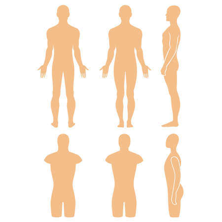 Male mannequin outlined silhouette torso (front, back, side view). Vector illustration isolated on white background. You can use this image for fashion design and etc.のイラスト素材