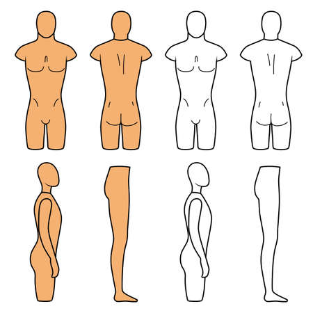 Male mannequin outlined torso (front, back view). Vector illustration isolated on white background. You can use this image for fashion design and etc.のイラスト素材
