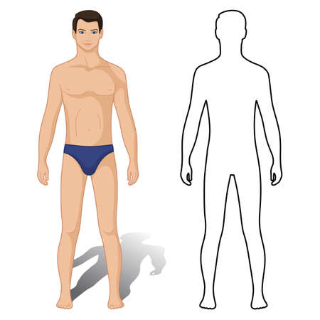 Fashion man colored & outlined template figure (front view), vector illustration isolated on white backgroundのイラスト素材