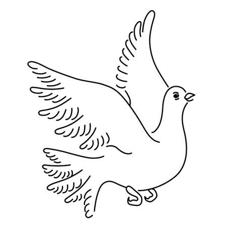 Soaring dove, vector illustration isolated on white backgroundのイラスト素材