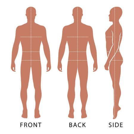Fashion bald man full length template figure silhouette with marked body's sizes lines (front, side & back view), vector illustration isolated on white backgroundのイラスト素材