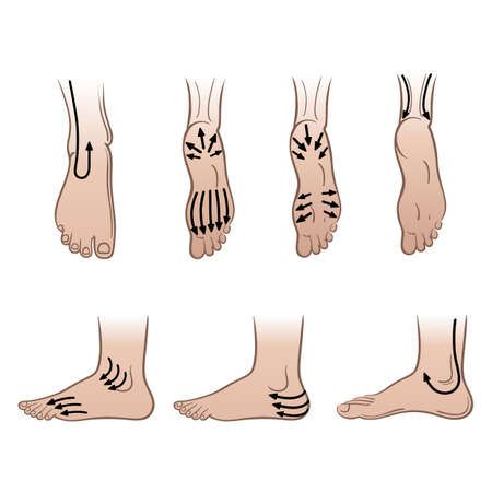 Closeup man feet with massaging lines isolated on white background, vector illustrationのイラスト素材