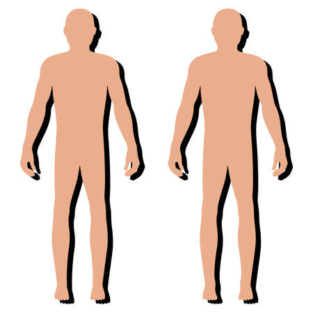 Fashion body full length bald template figure silhouette (front view), vector illustration isolated on white backgroundのイラスト素材