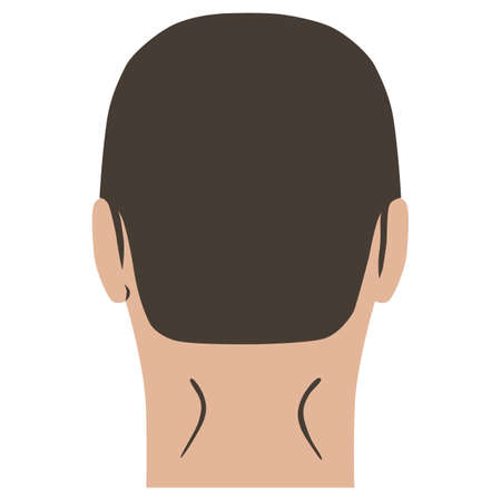 Man hairstyle head set of back view, vector illustration isolated on white backgroundのイラスト素材