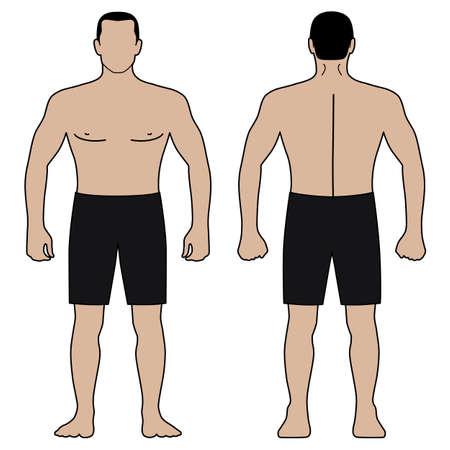 Fashion man body full length template figure silhouette in shorts (front, back views), vector illustration isolated on white backgroundのイラスト素材