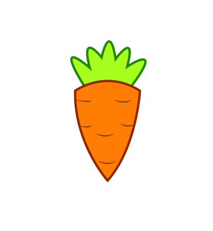 Carrot vegetable with leaves isolatedの写真素材