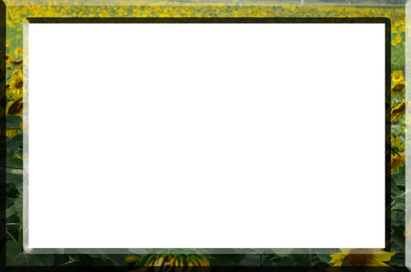Frame striped sunflowers.