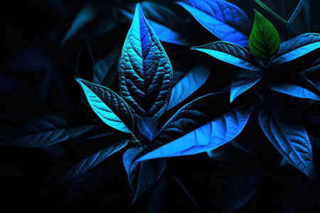 Image of emerald blue leaves, macro photo realistic illustration, dark background. Made with Generative AIの素材