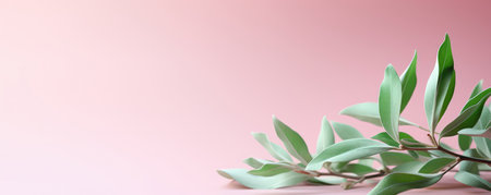Light green plants on a pastel pink background. Empty space for text. Banner made with Generative AIの素材