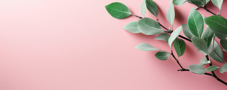 Light green plants on a pastel pink background. Empty space for text. Banner made with Generative AIの素材